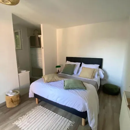 Spacious House With Garden And Pool Nyaraló Arcachon